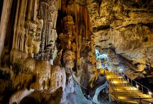 Discover South Africa’s Garden Route