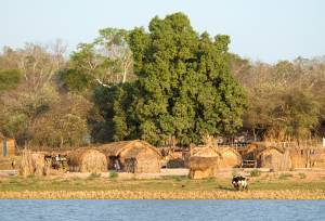 Madagascar Wildlife Adventure