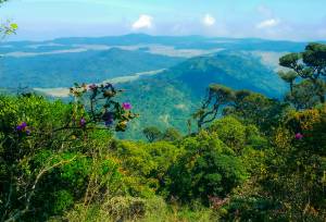 Hike Sri Lanka’s Pekoe Trail