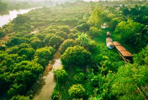 Best of Vietnam – Premium Adventure