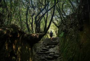 Hiking the Kathmandu Valley Add-on Tour
