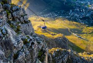 Best of Cape Town and the Garden Route