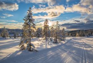 Cross-Country Skiing in Skåbu, Norway