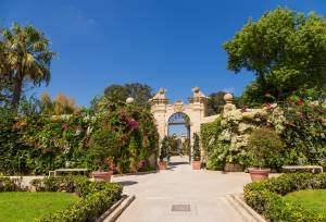 Discover Malta & Gozo