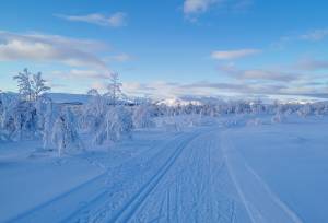 Cross-Country Skiing in Skåbu, Norway