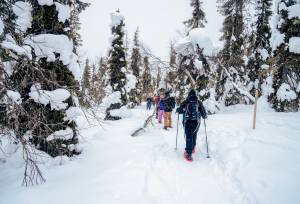 Finnish Wilderness Week