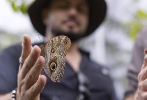 Signature Costa Rica | Where the Wild Answers