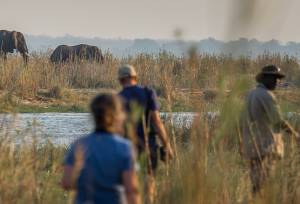 Zambezi Canoe Safari