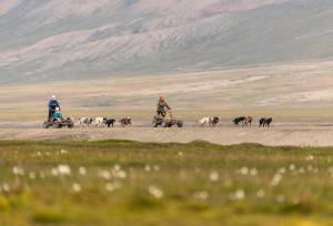 Svalbard Arctic Adventure – Polar Summer