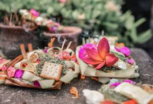 Signature Indonesia | The Sacred Wild Isles