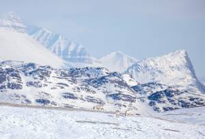 Svalbard in Spring: Sea Ice, Pristine Snow and Wildlife