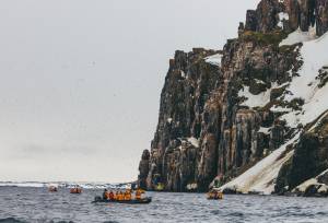 Svalbard in Summer: Tundra, Whales and Wildlife