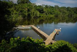Amazon Add-on Tour – La Selva Lodge