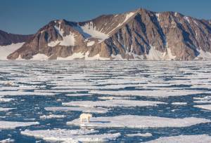 Spitsbergen Highlights: Wildlife Capital of the Arctic