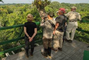 Amazon Add-on Tour – Napo Wildlife Center