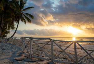 Mombasa Beach by Rail Add-on Tour