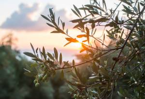 Hiking Portugal & Spain’s Historic Frontier