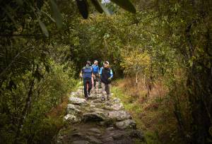 Inca Trail & the Amazon Rainforest
