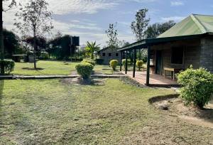 Gorillas & Masai Mara – Camping