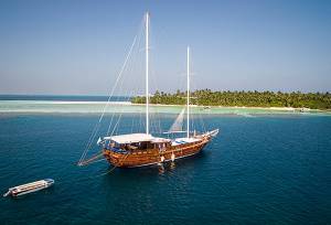 Marine Wildlife of the Maldives