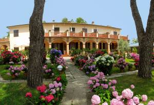 Tuscany Walks & Chianti Wines