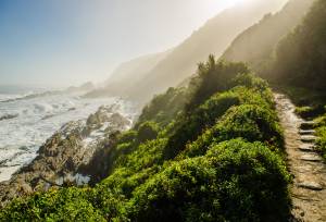 Best of the Garden Route – Premium Adventure