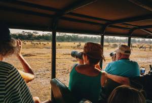 Wildlife & Wilderness of Botswana