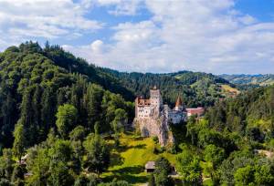 Carpathian Walking & Bears