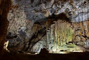 Best of the Garden Route – Premium Adventure