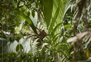 Costa Rica Adventure Family Holiday