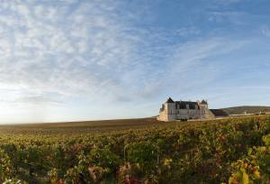 Discover Burgundy & Alsace – Premium Adventure