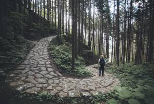 Signature Japan | Through Temples & Time