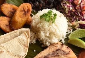 Signature Costa Rica | Where the Wild Answers