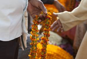 Highlights of Northern India