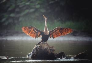 Costa Rica Adventure