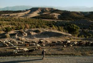 Signature Morocco | Echoes of the Minaret