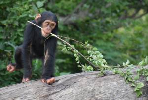 Signature South Africa | Across the Wild Plains