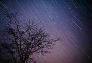 Signature South Africa | Winelands & Wild Shores