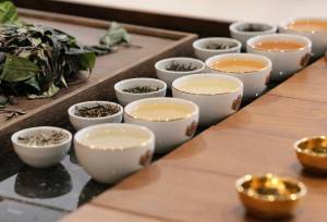 Signature Sri Lanka | The Island of Serendipity