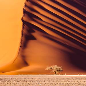 Dune 45, a 170m high dune made from red sand, Sossusvlei, best road trips