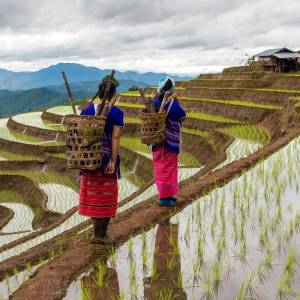 Head where few tread: Undiscovered Cambodia and Vietnam destinations: Hmong Women in Vietnam