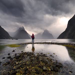 Risk taker Milford sound