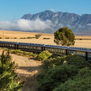 Our Top Food Tours From Around the World