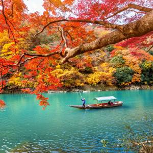 🍂Fall🍂 in Love with Japan