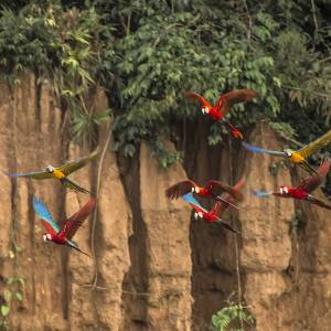 Eine Reise zu den schönsten Naturwundern der Welt