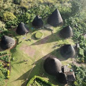 Enchanting Travels in der Presse