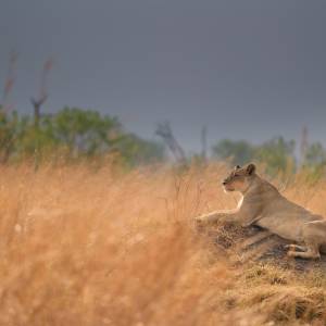 The Best Car-Free Islands for a Nature Vacation