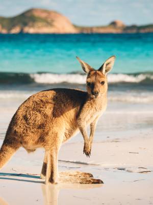 Travel Blog