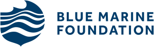 Blue Marine Foundation logo