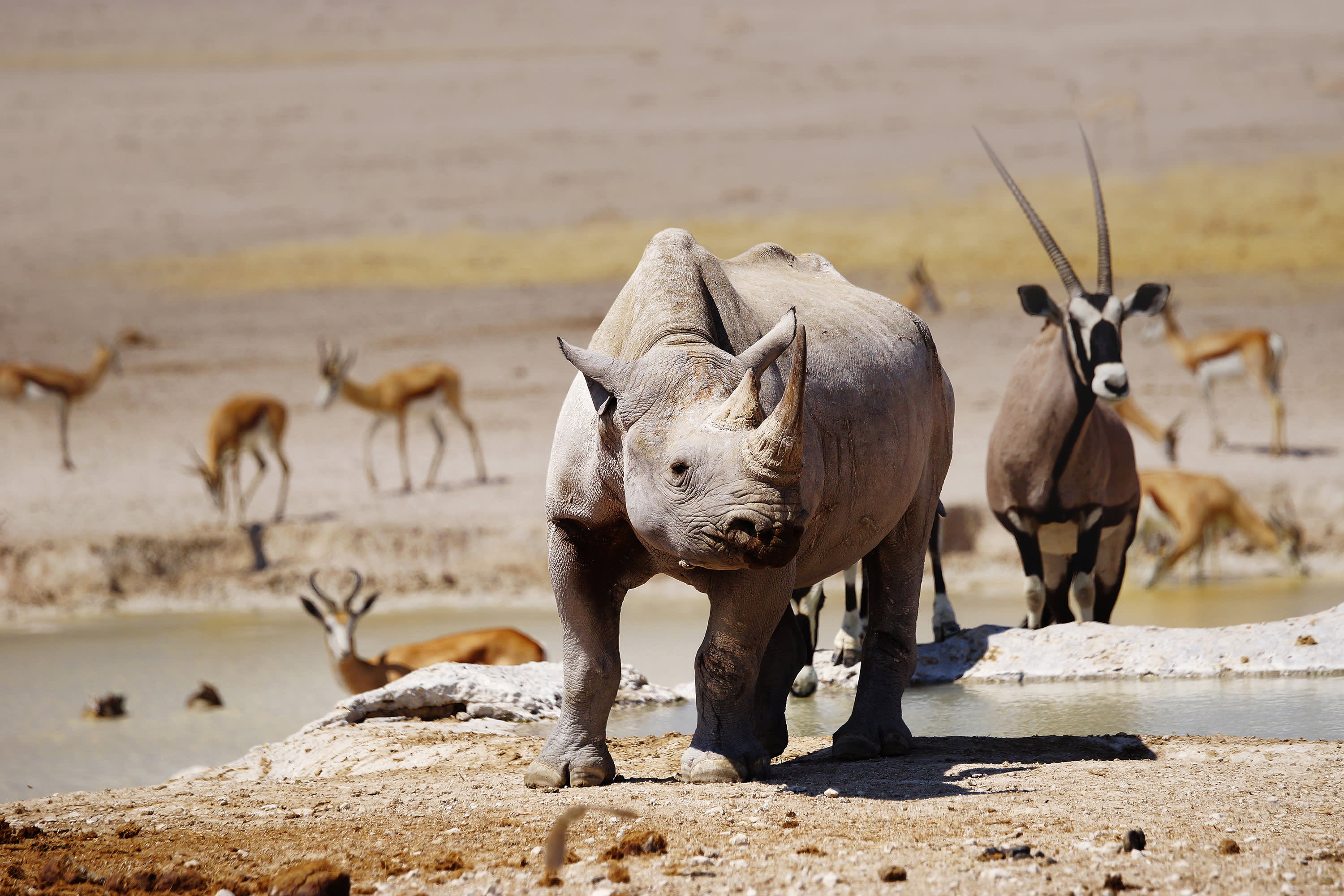 Our Private Adventure in Namibia